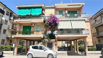 Dei Mille 66